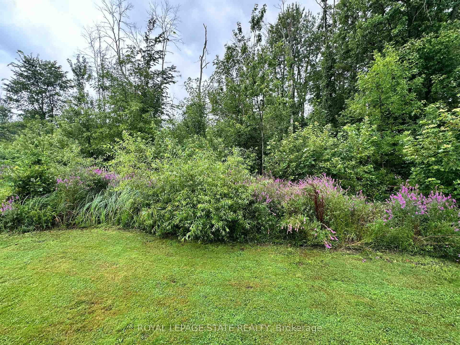 716 Sandy Bay Road • Haldimand, ON photo 32
