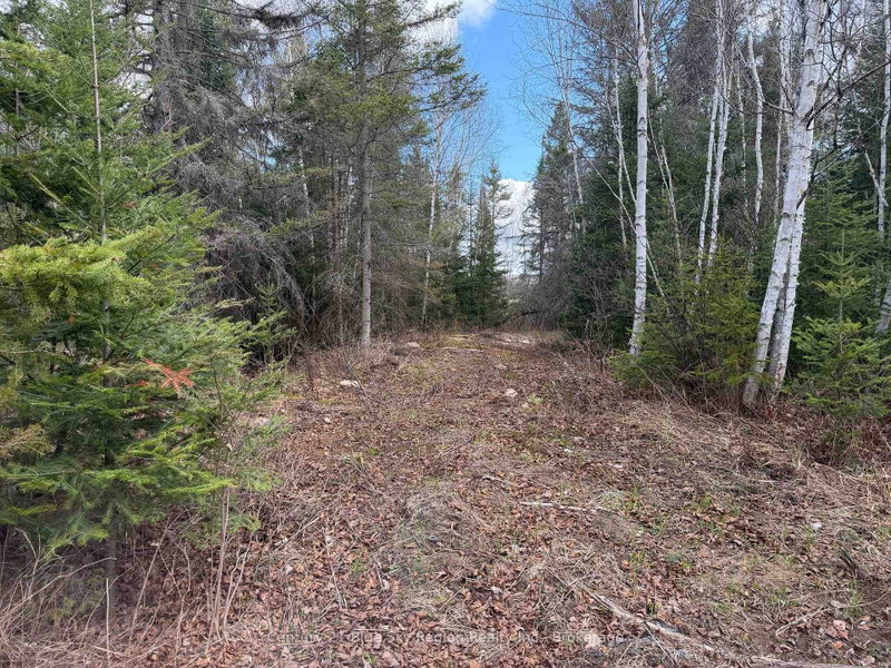 Lot 9 Part 1 Johnson Road