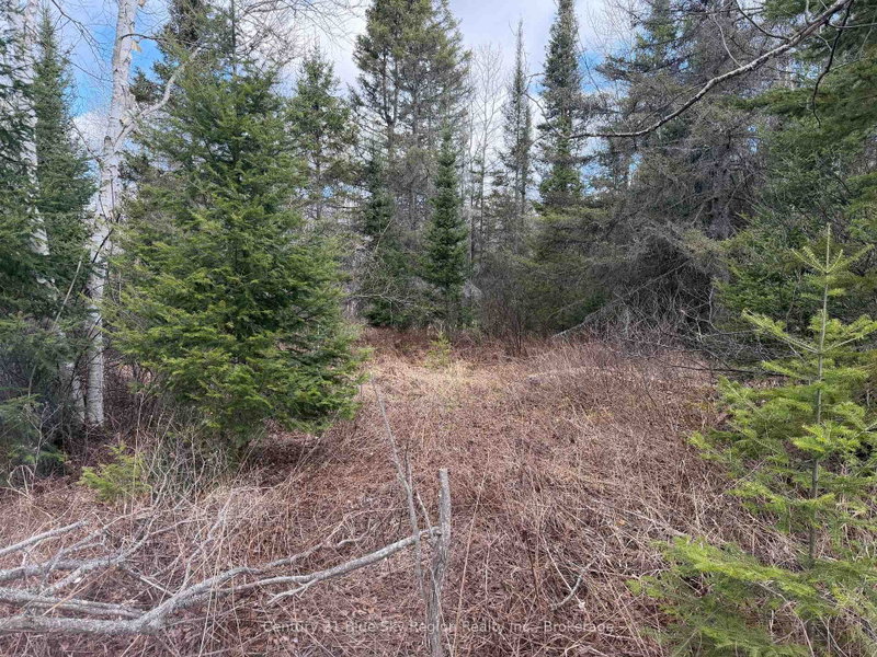 Lot 9 Part 1 Johnson Road
