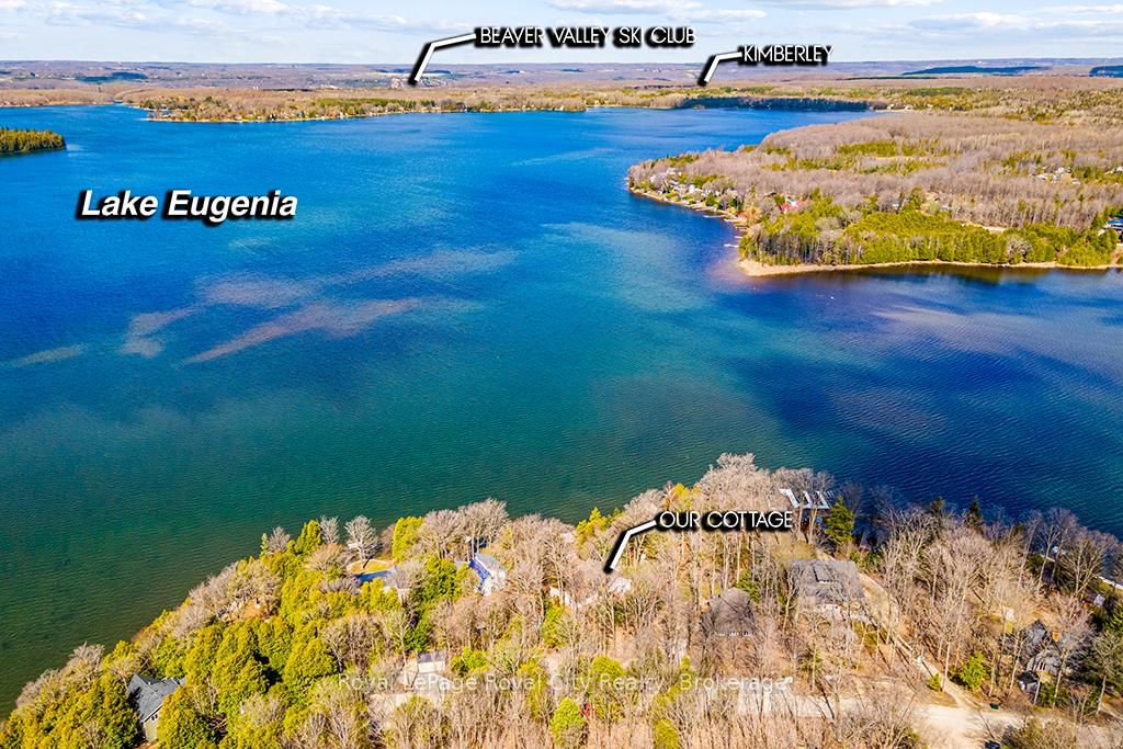 194 Wiles Lane • Grey Highlands, ON photo 46