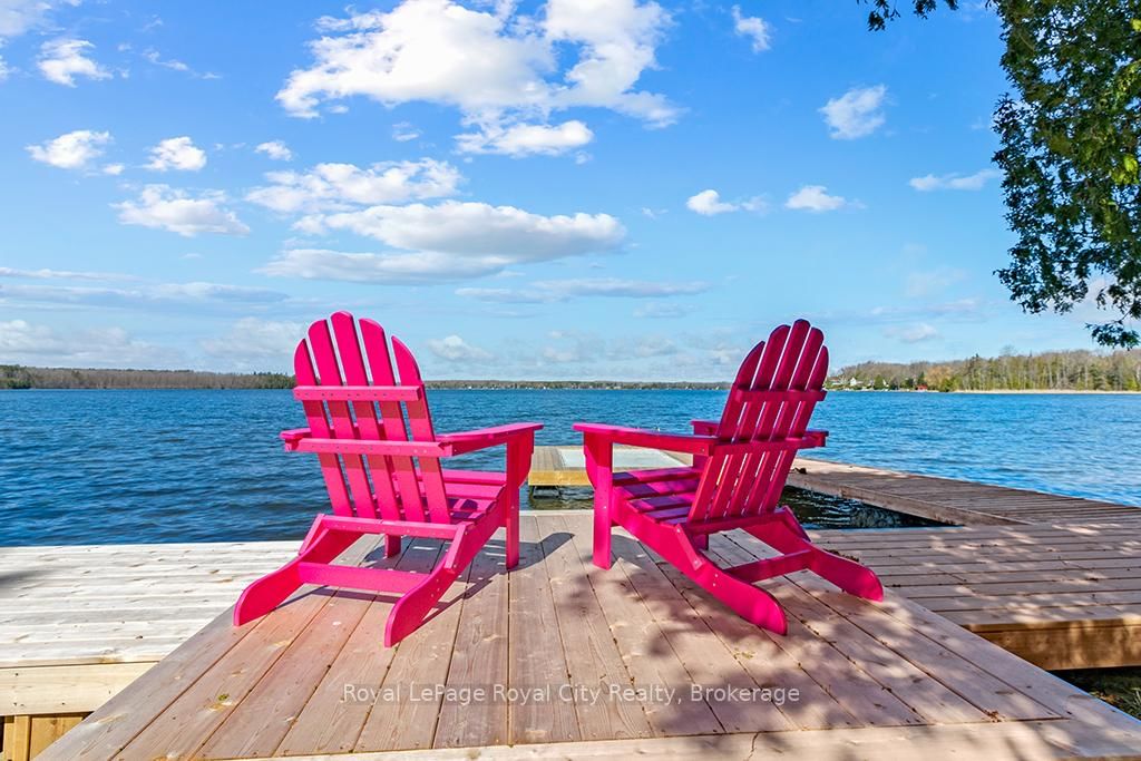 194 Wiles Lane • Grey Highlands, ON photo 5