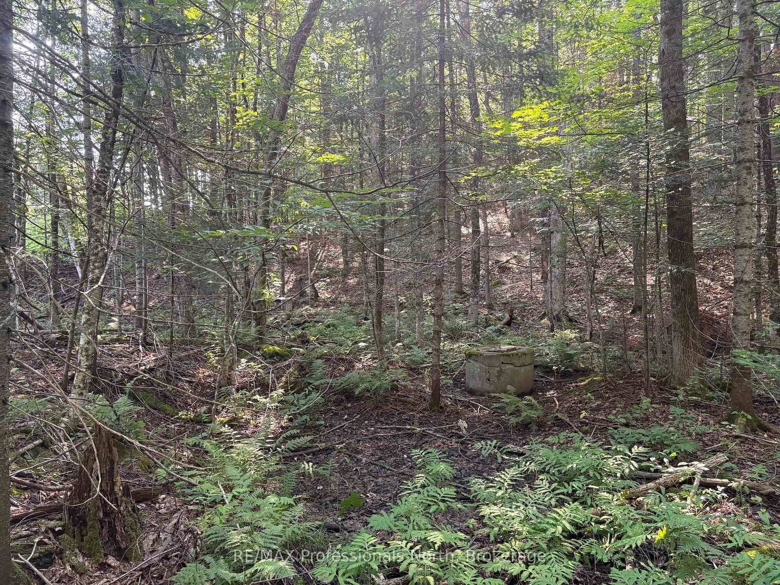 0 Parish Line Road • Dysart et al, ON photo 16