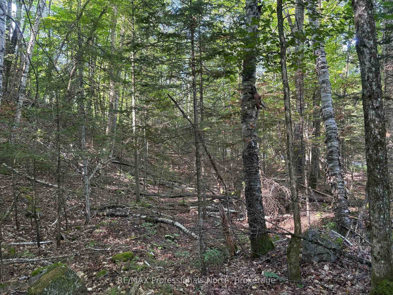 0 Parish Line Road • Dysart et al, ON photo 19