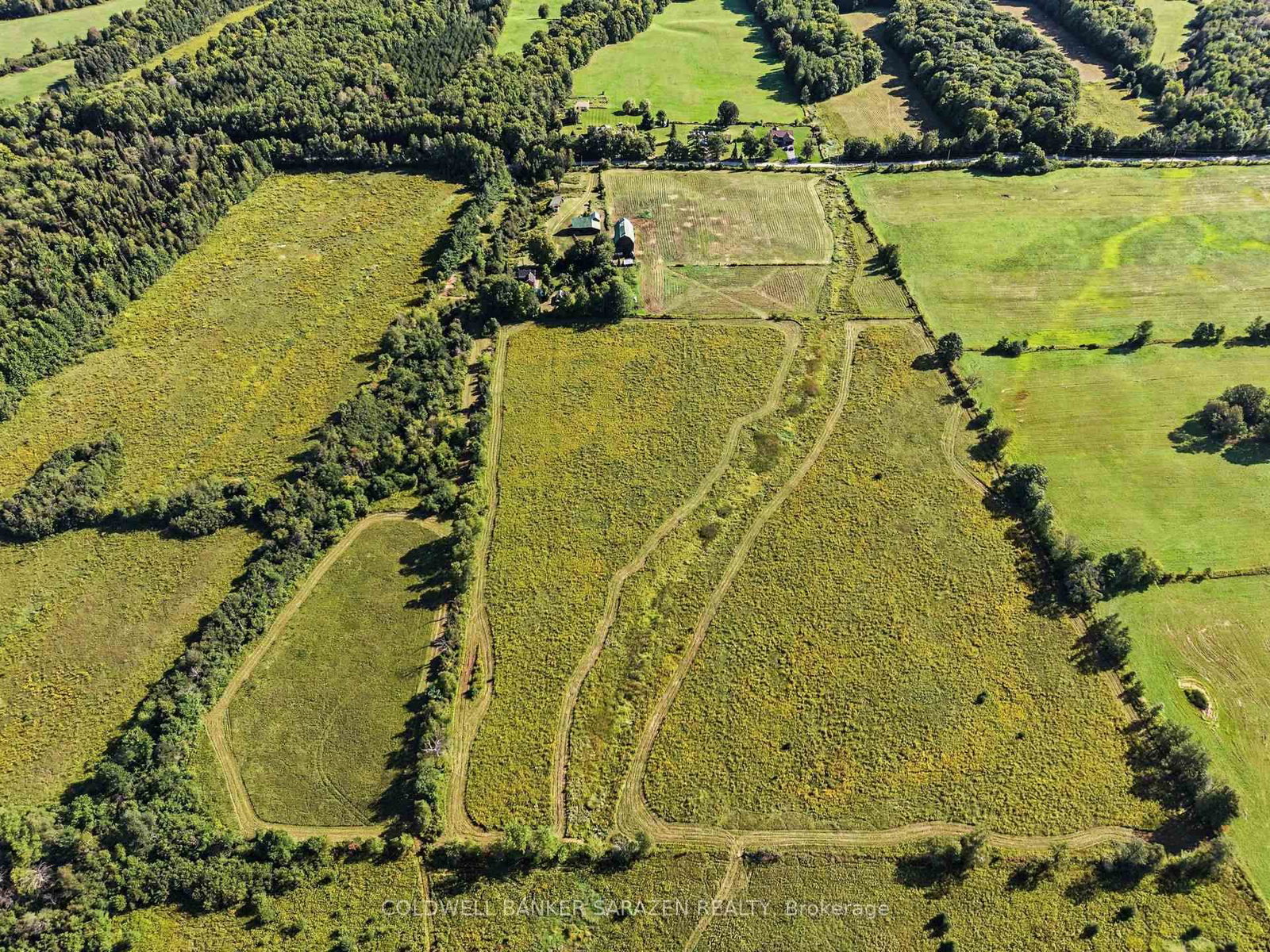 Listing Image 19