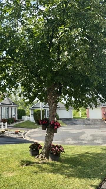 1505 Frank Court • Cornwall, ON photo 3