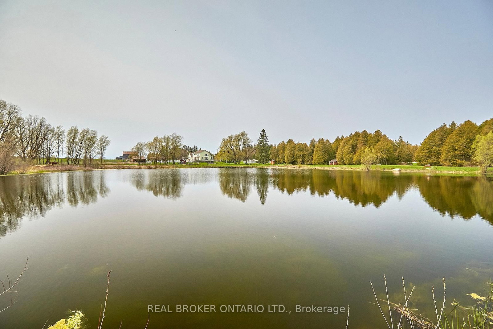 504224 89 Highway • Amaranth, ON photo 11