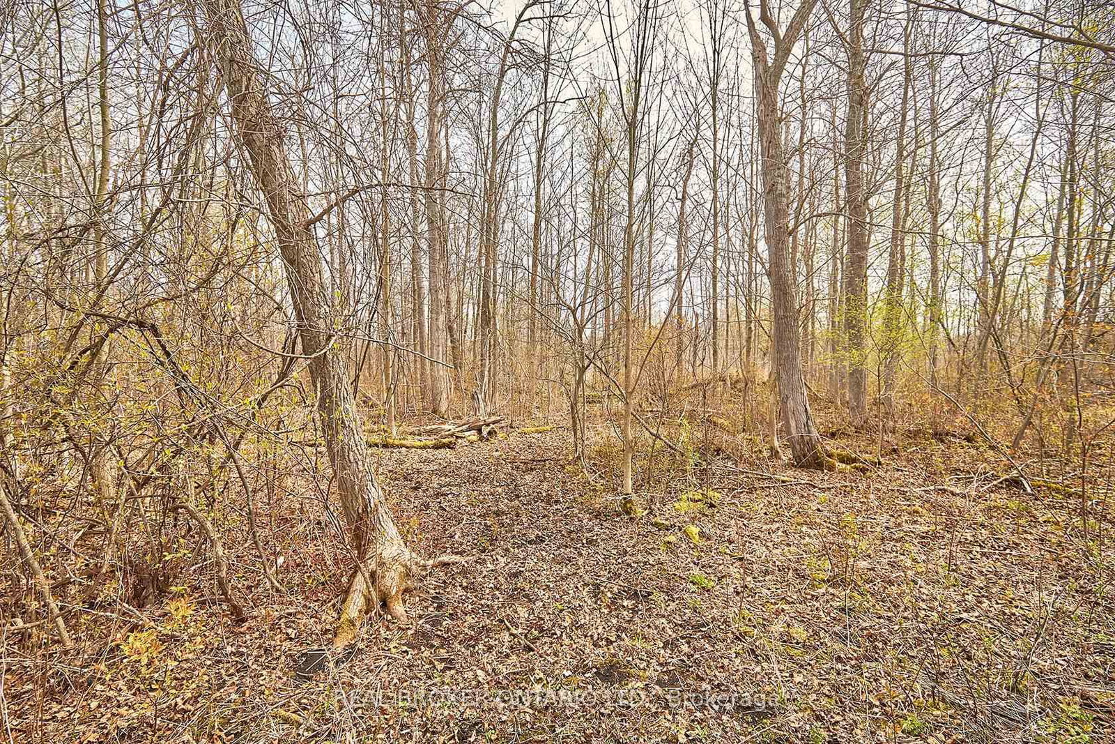 504224 89 Highway • Amaranth, ON photo 12