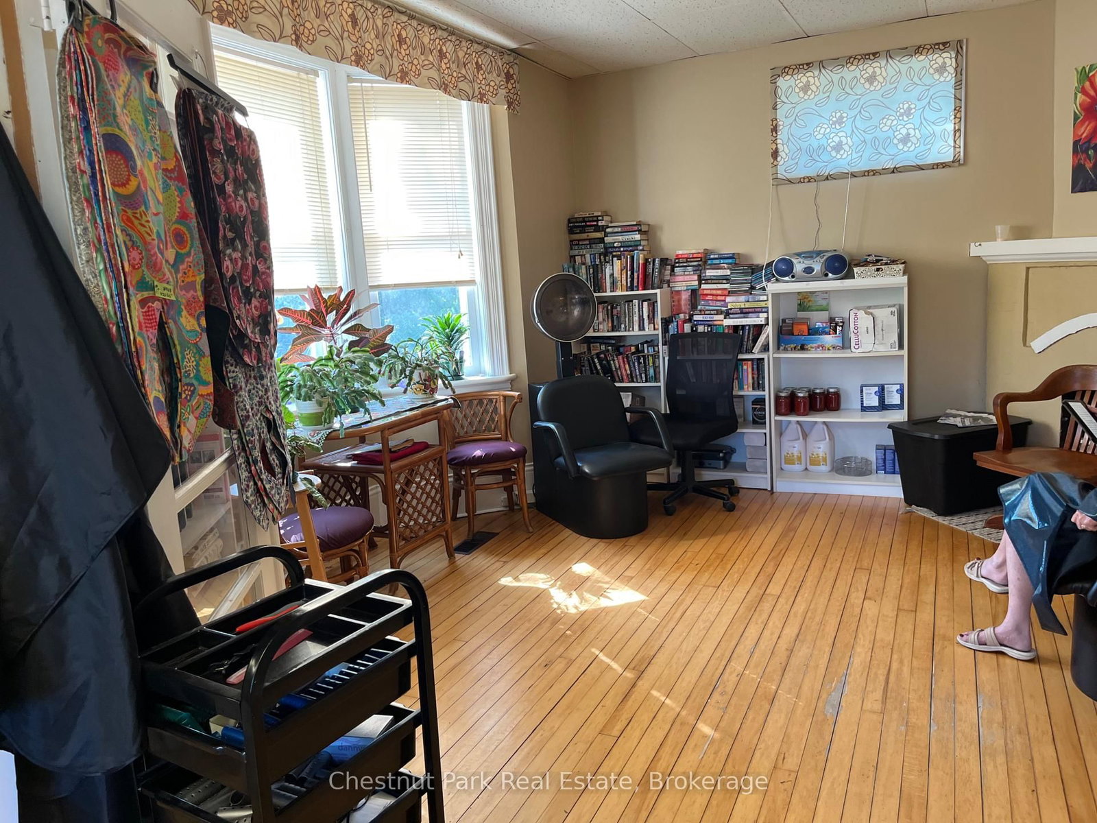 151 Royal Street • Gravenhurst, ON photo 6