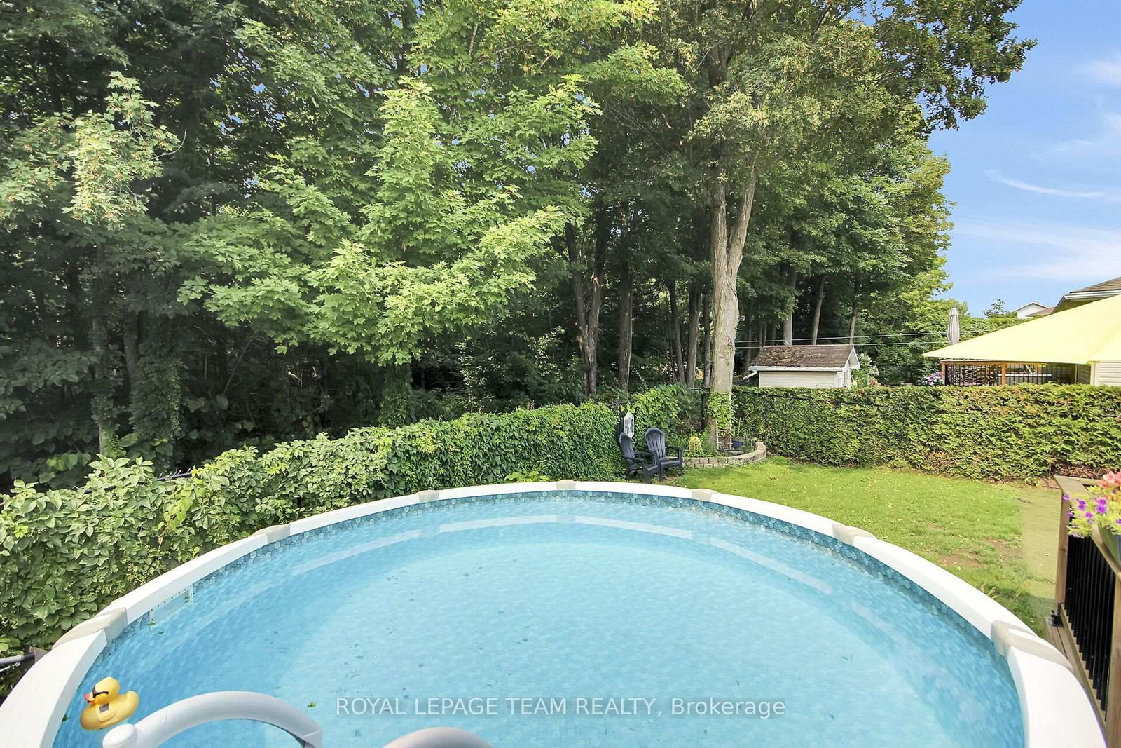 36 Steggall Crescent • Stittsville, ON photo 41