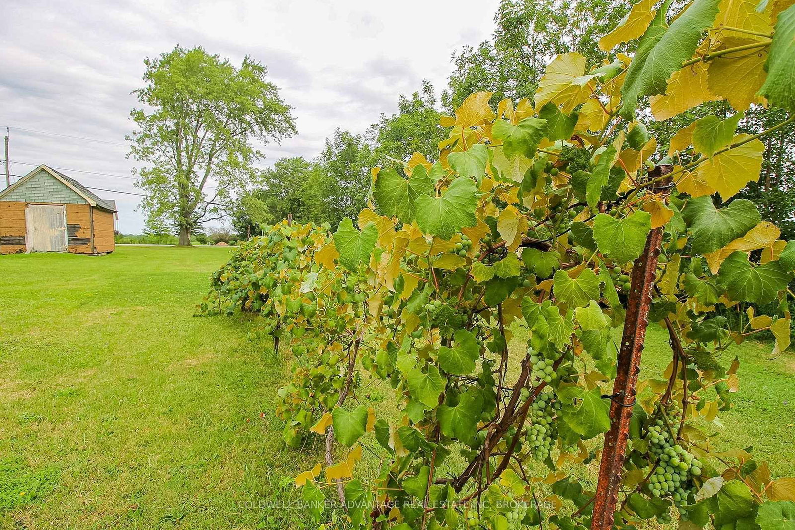 3747 Bowen Road • Fort Erie, ON photo 34