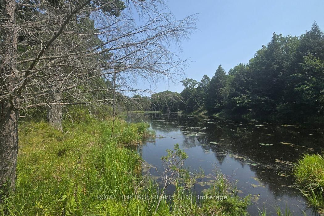 1590 Elm Tree Road • Central Frontenac, ON photo 12