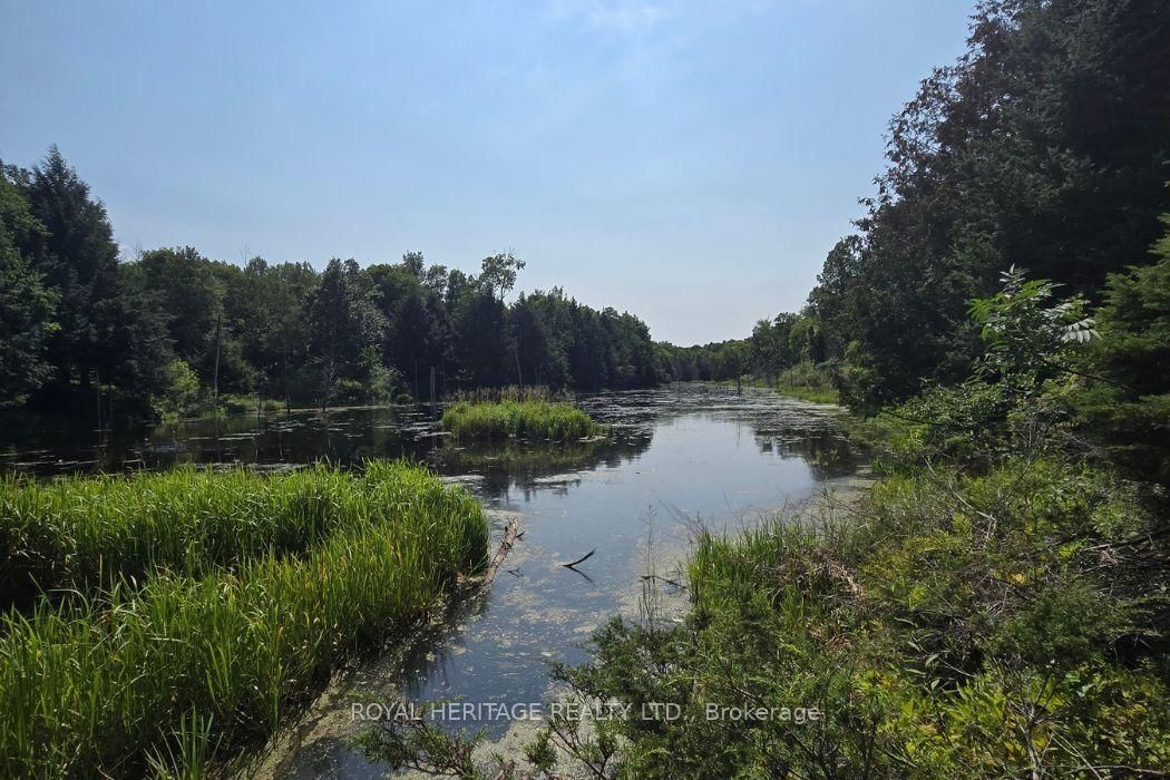 1590 Elm Tree Road • Central Frontenac, ON photo 13