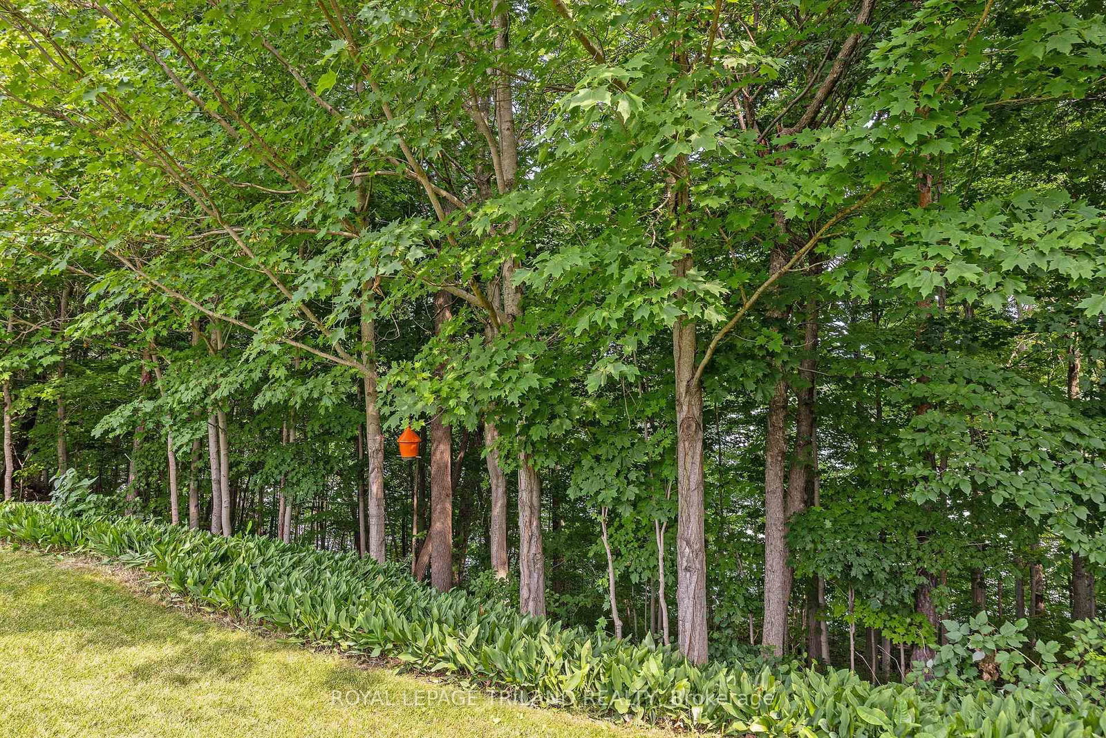 20 Woodhaven Court • St. Thomas, ON photo 46