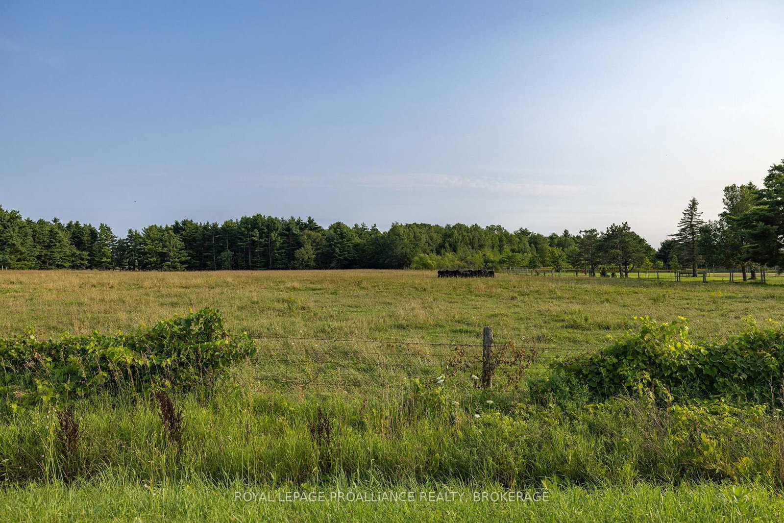 PT LT 31 Brewer's Mills Road • Seeley's Bay, ON photo 22