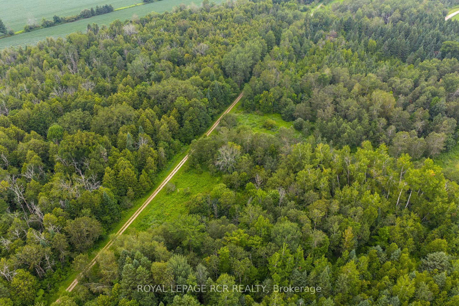 6066 4th Line • Erin, ON photo 12