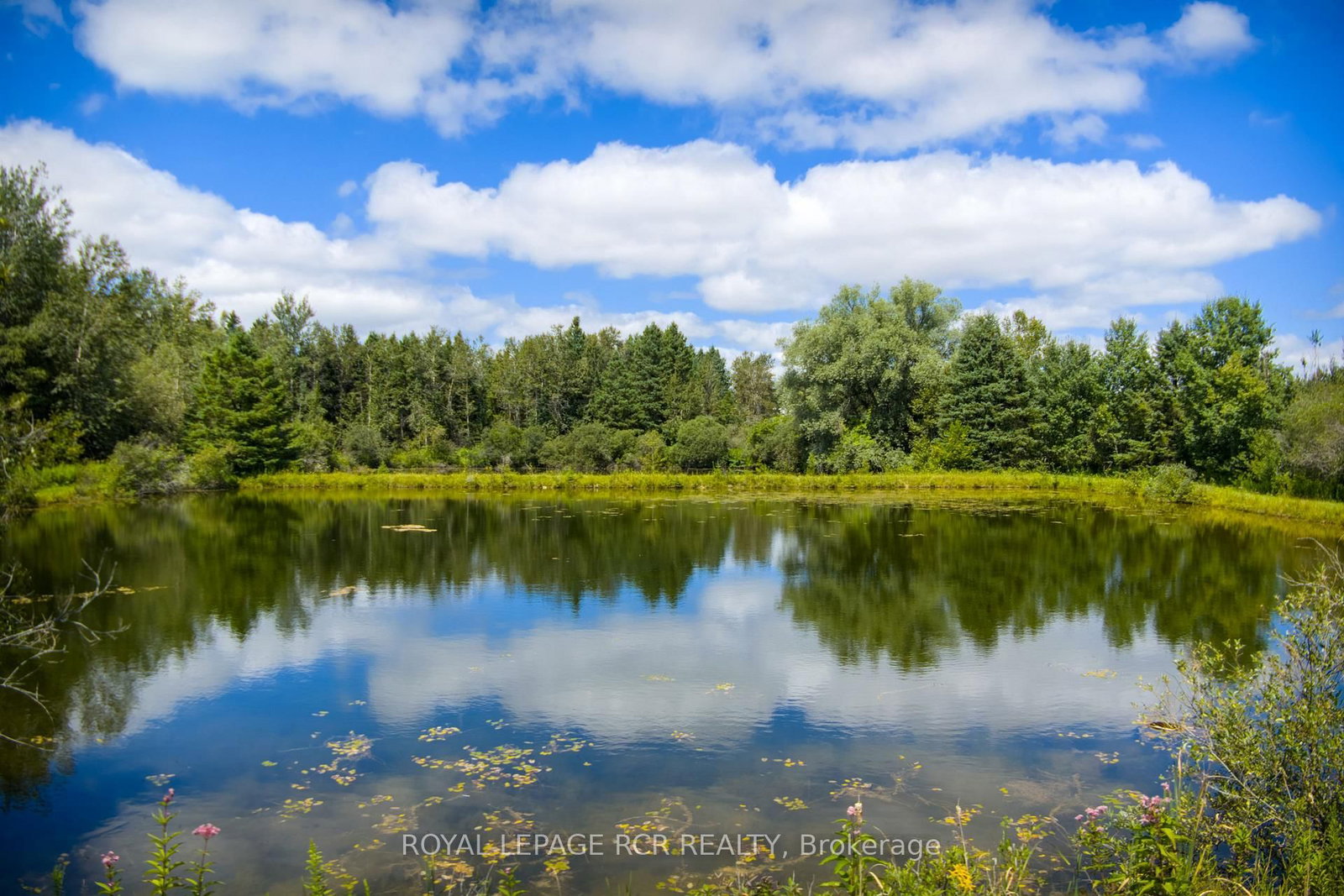 6066 4th Line • Erin, ON photo 6