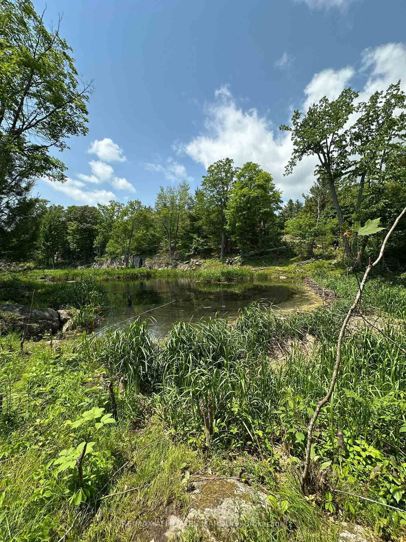 938 Crow Lake Road
