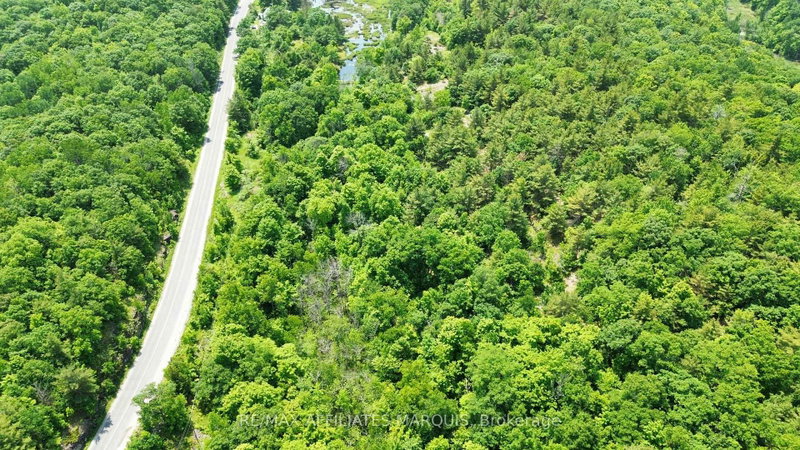 938 Crow Lake Road