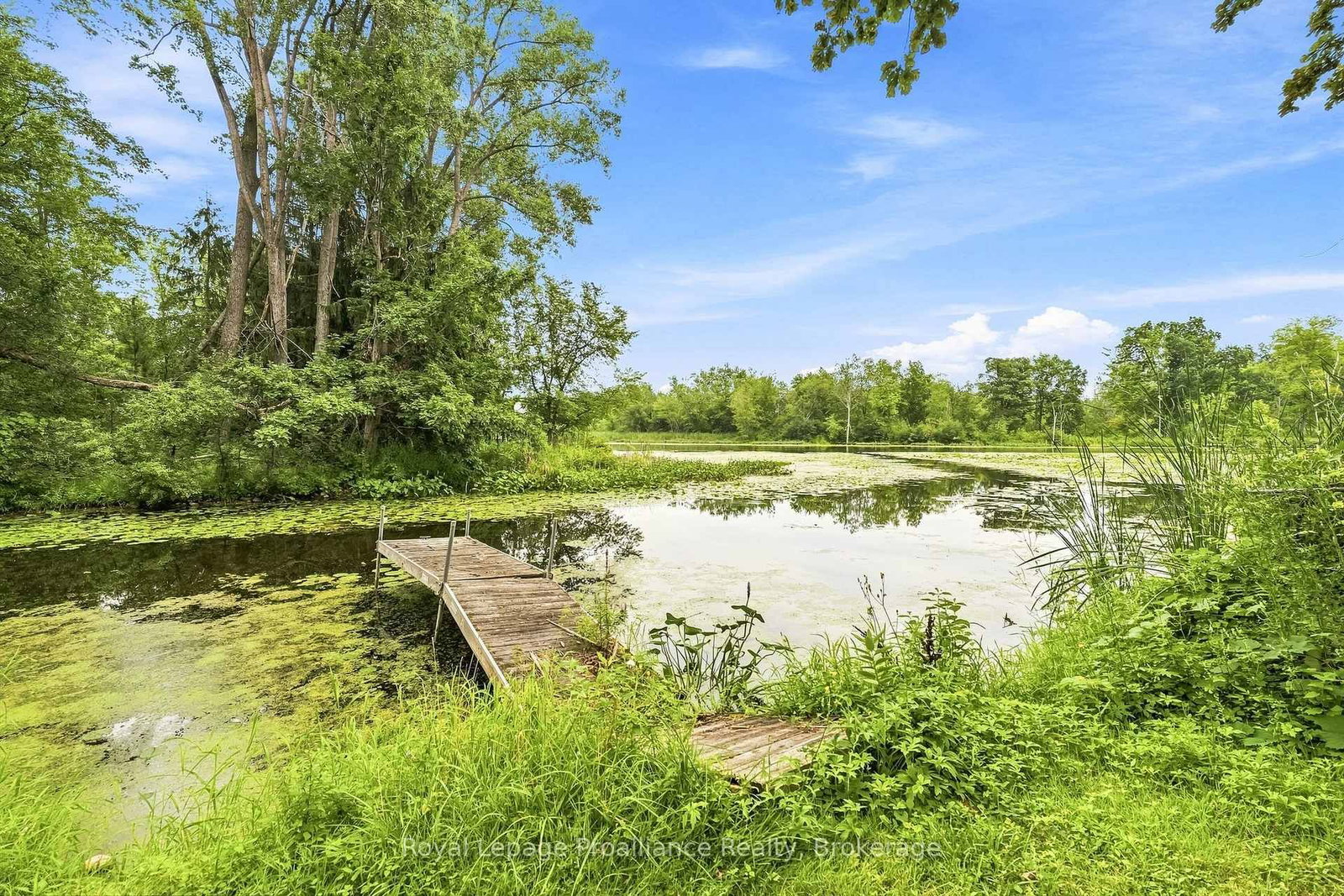 43 Laguna Road • Trent Hills, ON photo 27