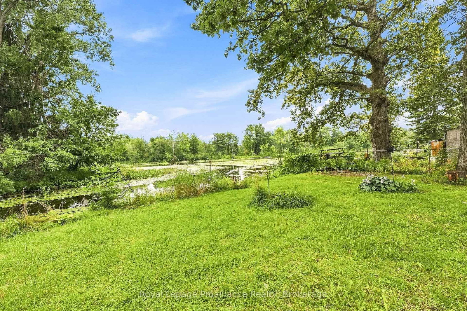 43 Laguna Road • Trent Hills, ON photo 31