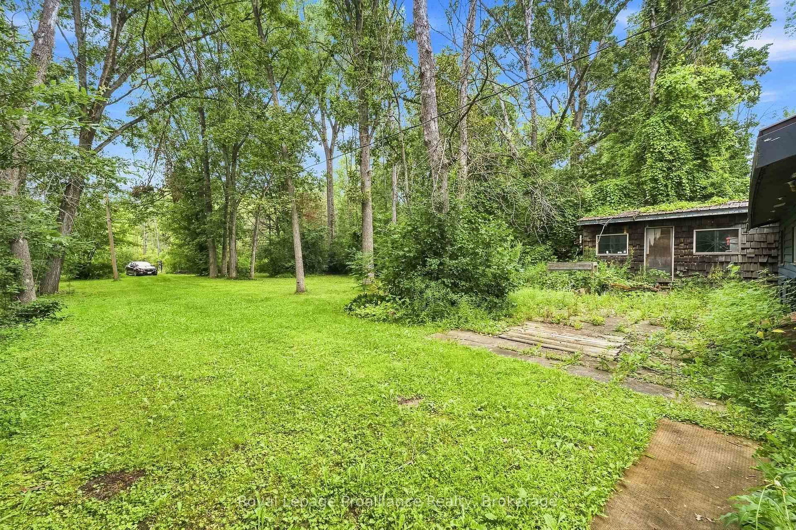 43 Laguna Road • Trent Hills, ON photo 4