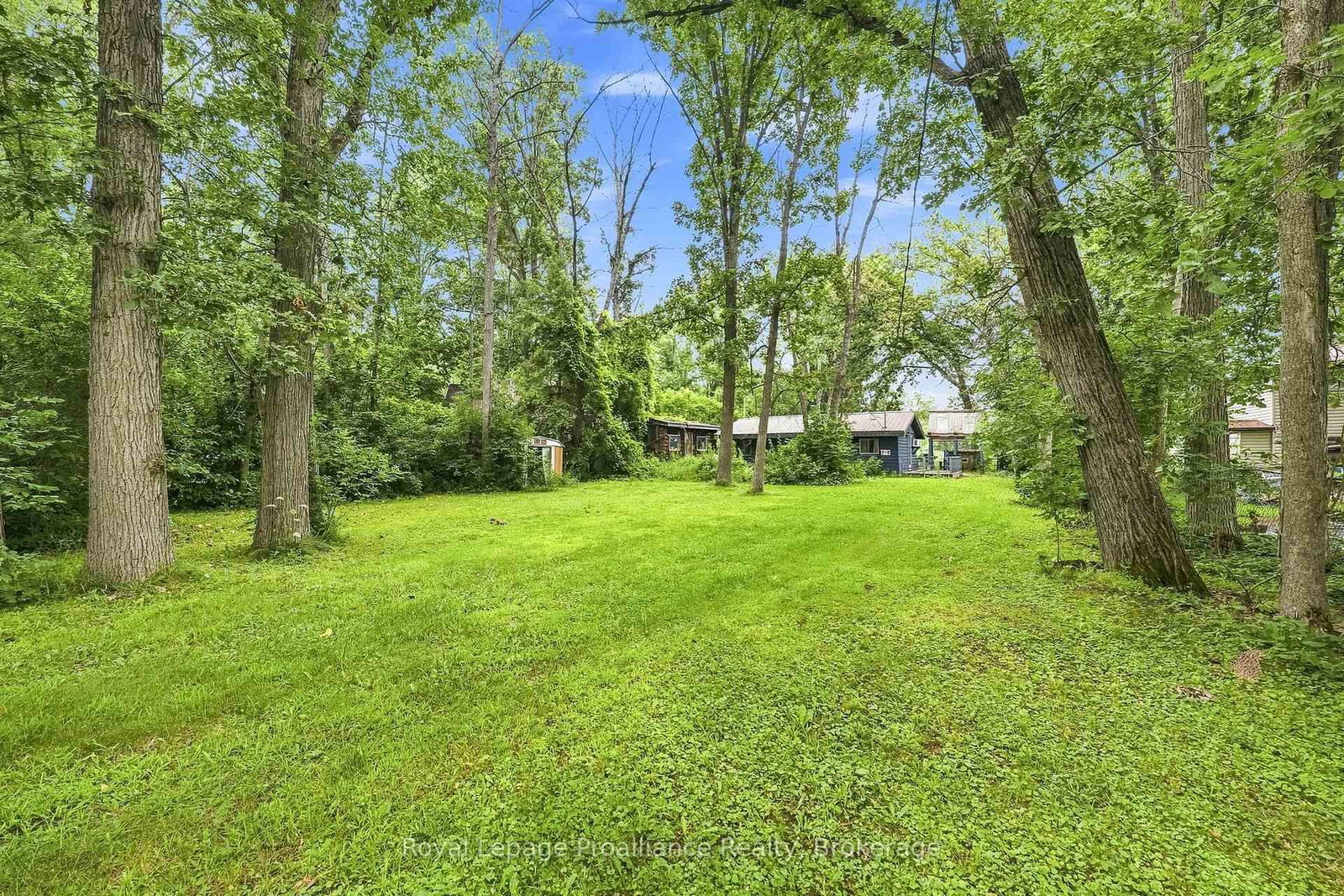 43 Laguna Road • Trent Hills, ON photo 5