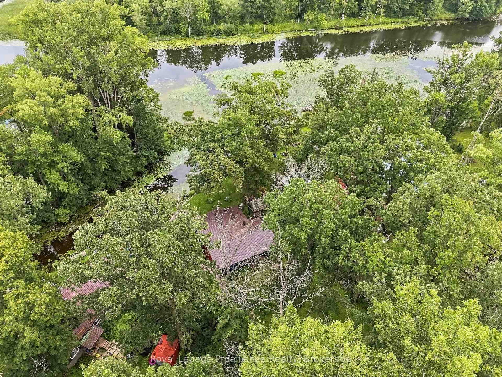 43 Laguna Road • Trent Hills, ON photo 6