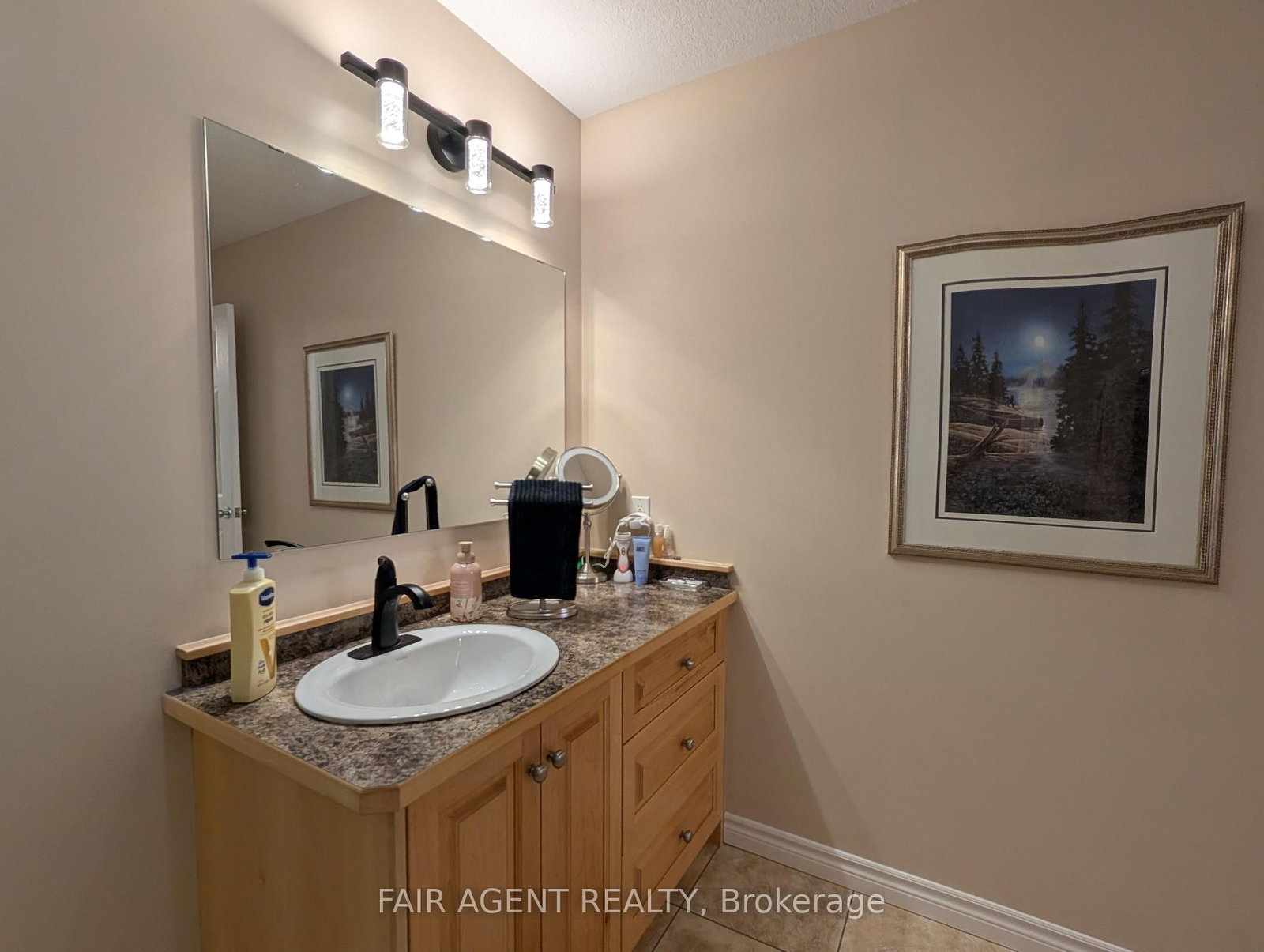 110 MILTON SEILER Crescent • Minto, ON photo 25