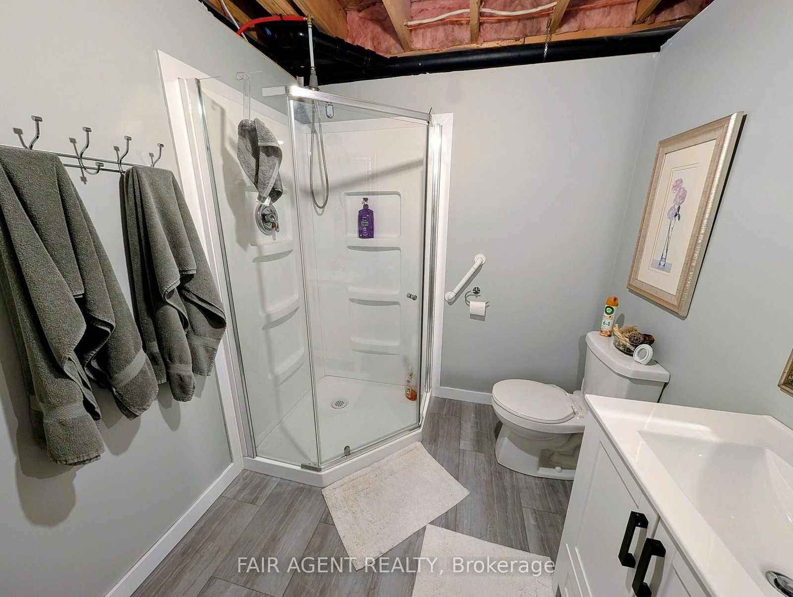 110 MILTON SEILER Crescent • Minto, ON photo 32
