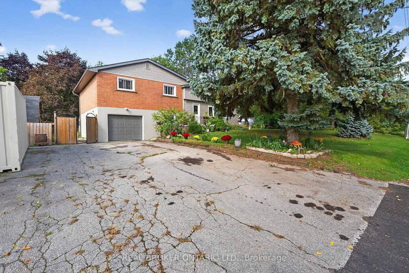 312 Old Guelph Road