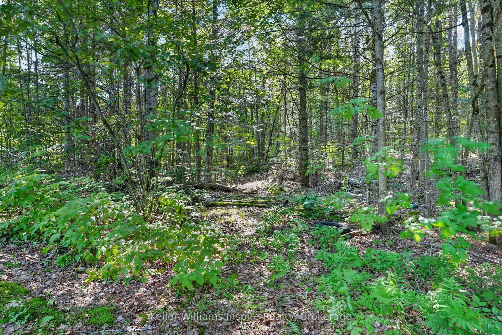 3044 LOOP Road • Highlands East, ON photo 21