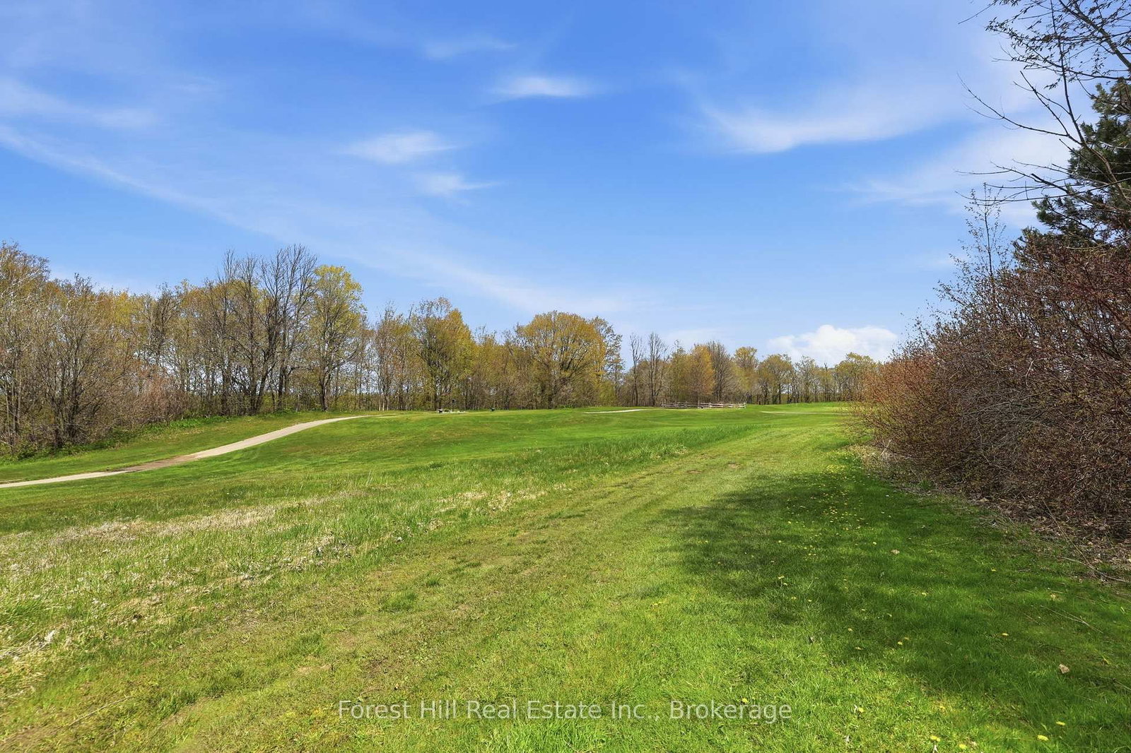 Listing Image 49