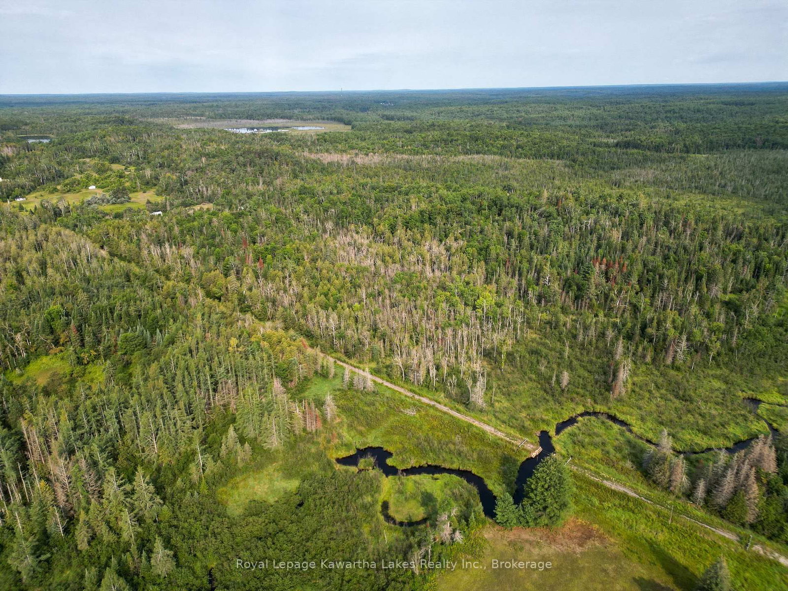 LT 4 Dutch Line Road W • Trent Lakes, ON photo 2