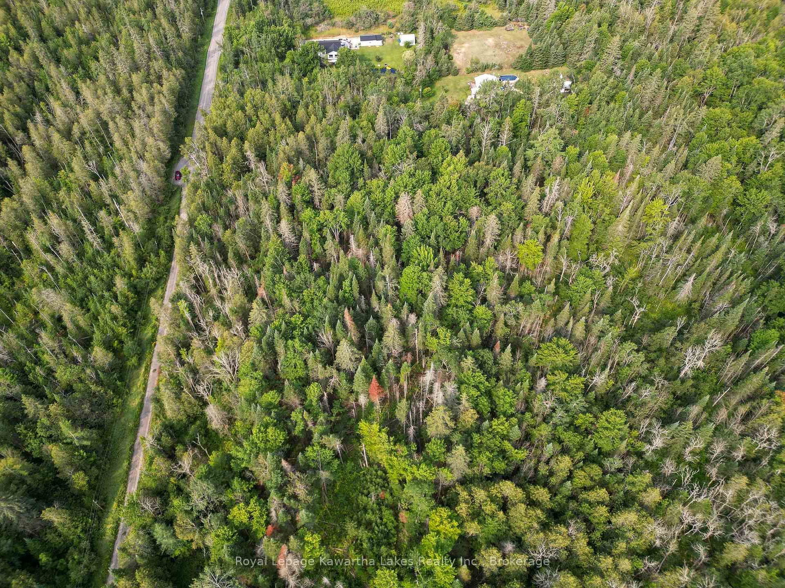 LT 4 Dutch Line Road W • Trent Lakes, ON photo 4