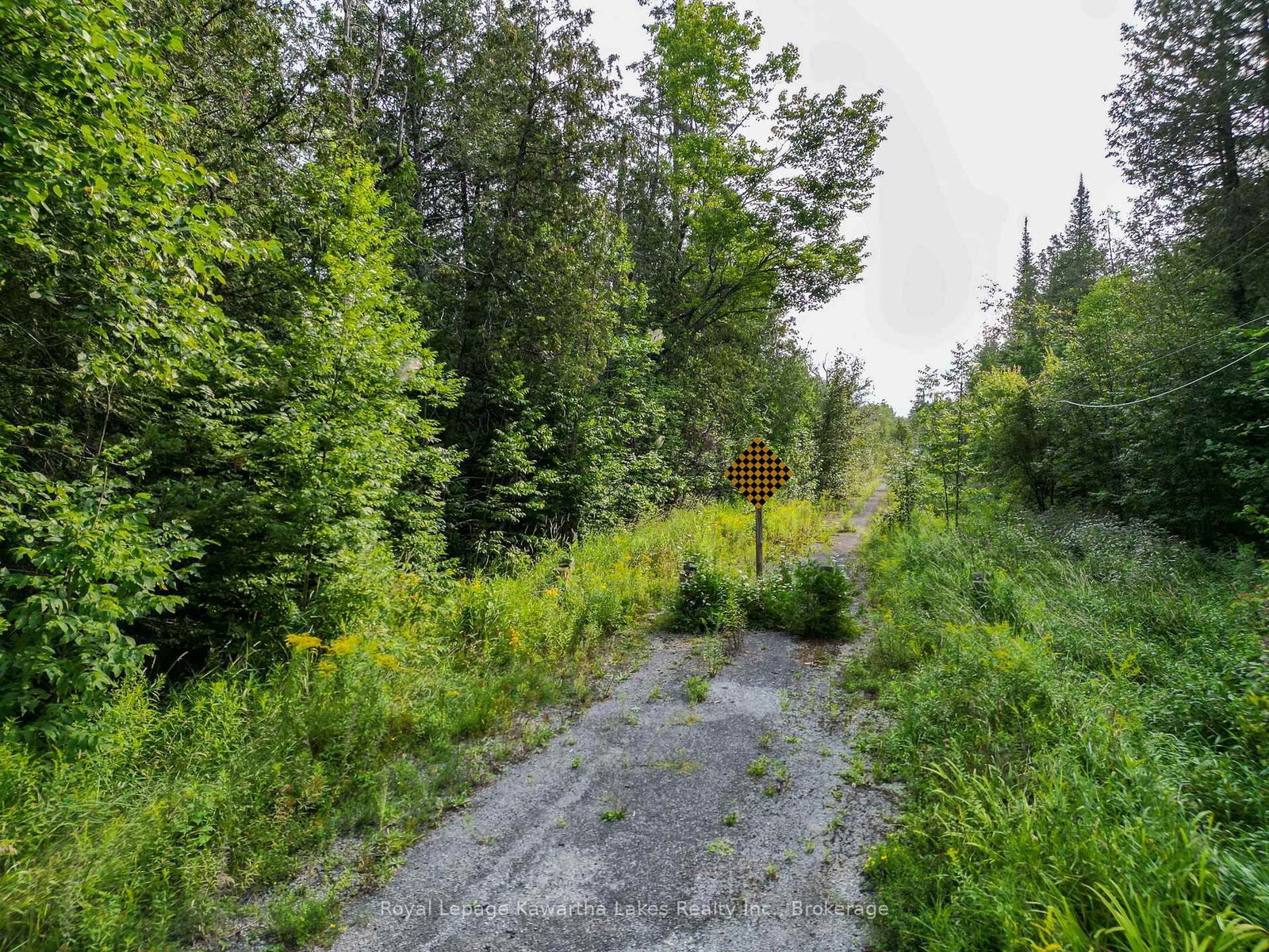 LT 4 Dutch Line Road W • Trent Lakes, ON photo 6