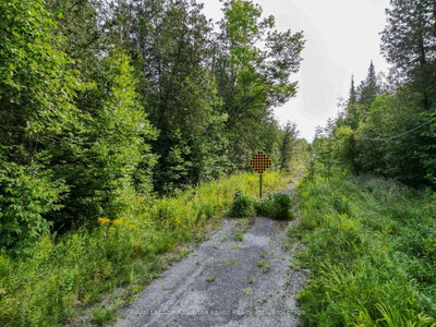 LT 4 Dutch Line Road W • Trent Lakes, ON photo 6