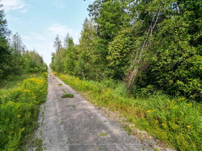 LT 4 Dutch Line Road W • Trent Lakes, ON photo 7