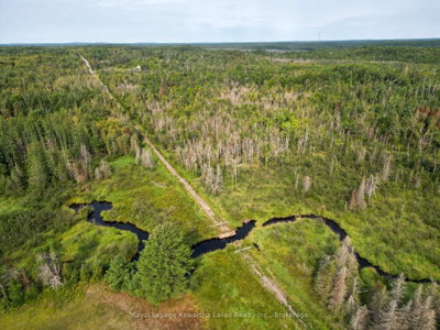 LT 4 Dutch Line Road W • Trent Lakes, ON photo 8