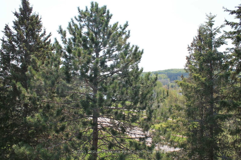 1235 Deerhurst Dr photo 3