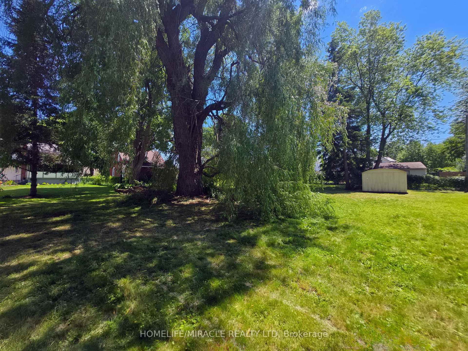 Listing Image 9
