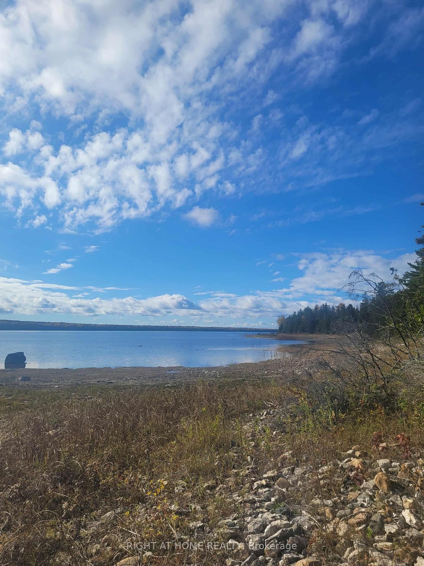 94 McLay Drive • Assiginack, ON photo 27