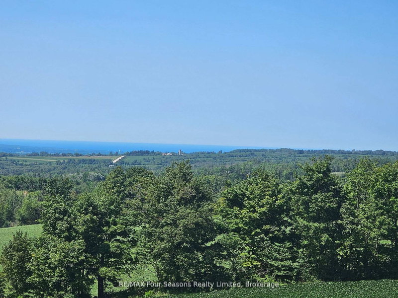 495529 Grey Road 2