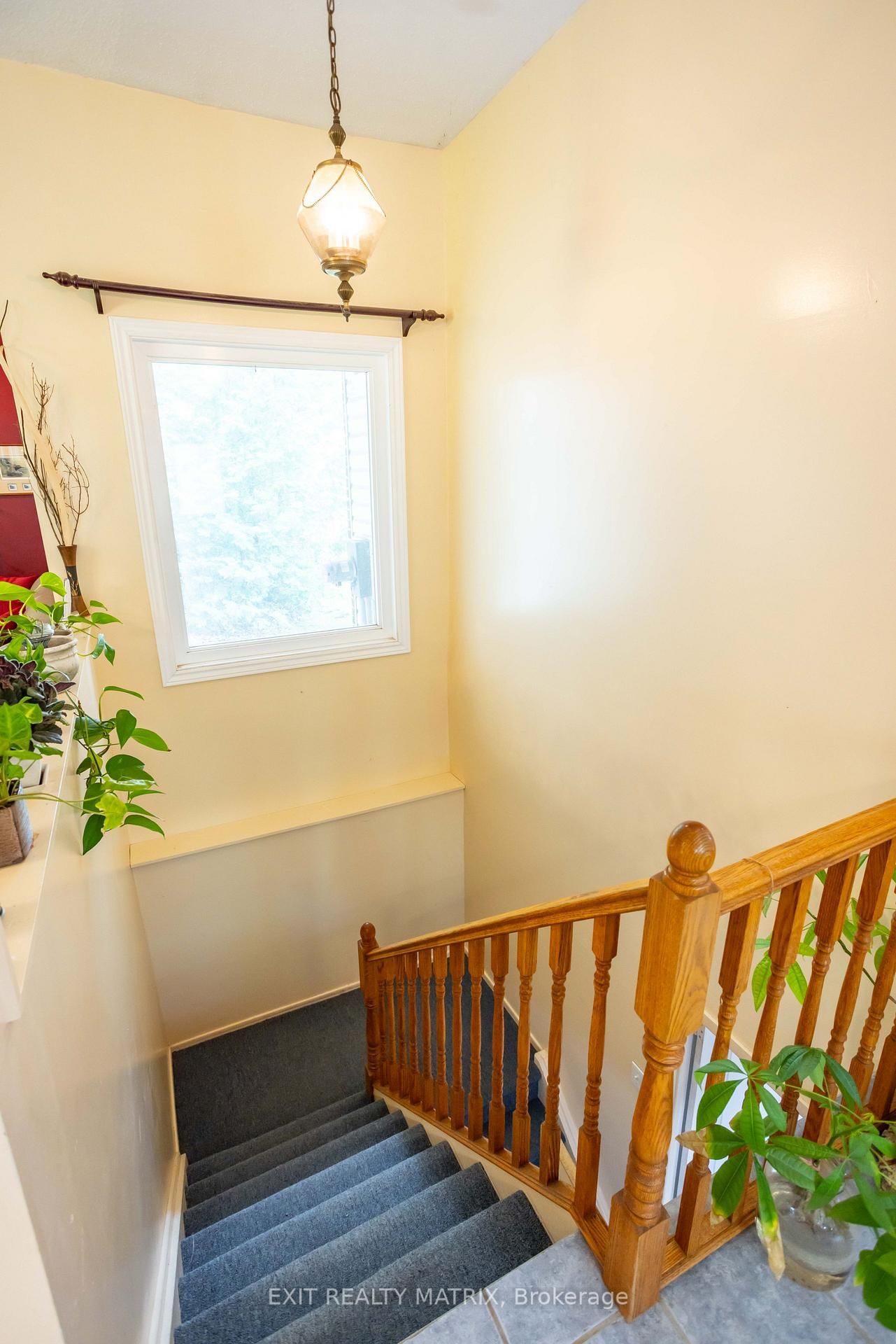 2174 Des Pins Street • The Nation, ON photo 27