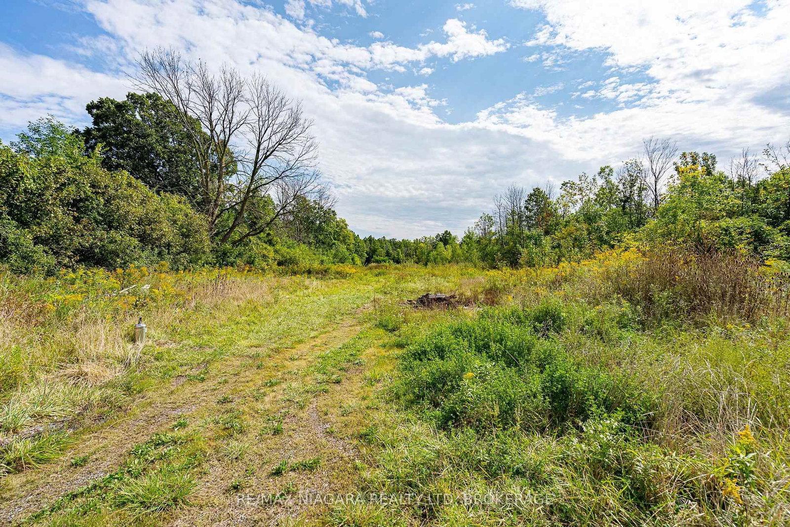 487 Four Mile Creek Road • Niagara-on-the-Lake, ON photo 5