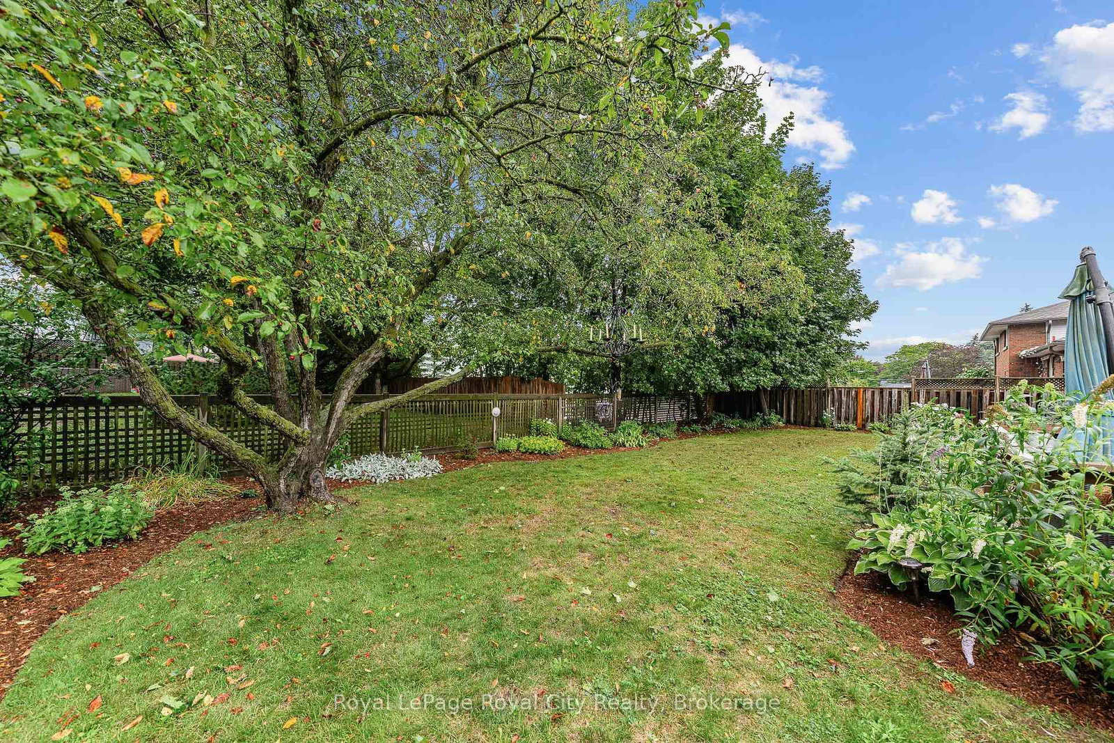 12 Tobey Avenue • Guelph, ON photo 41