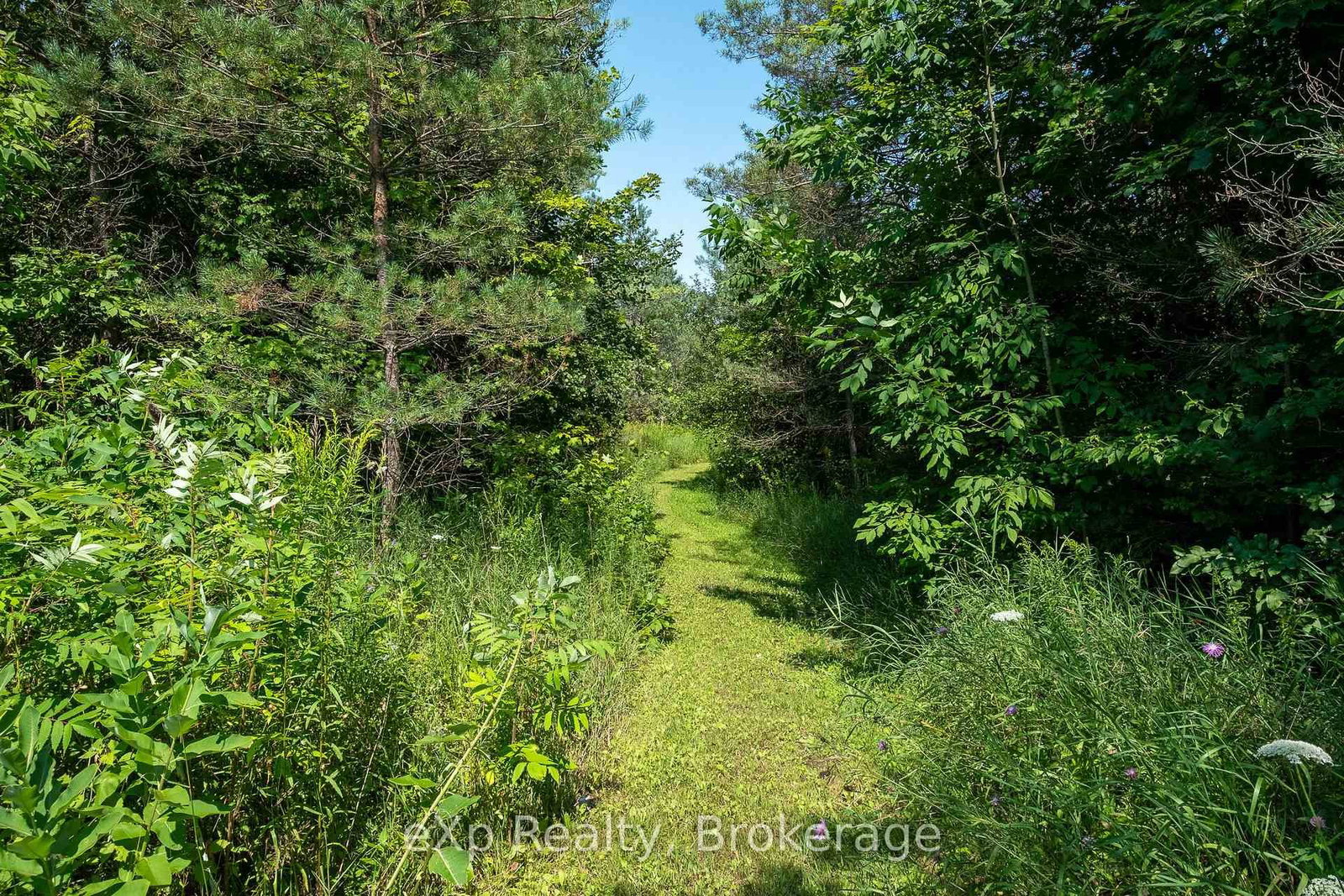 Listing Image 38