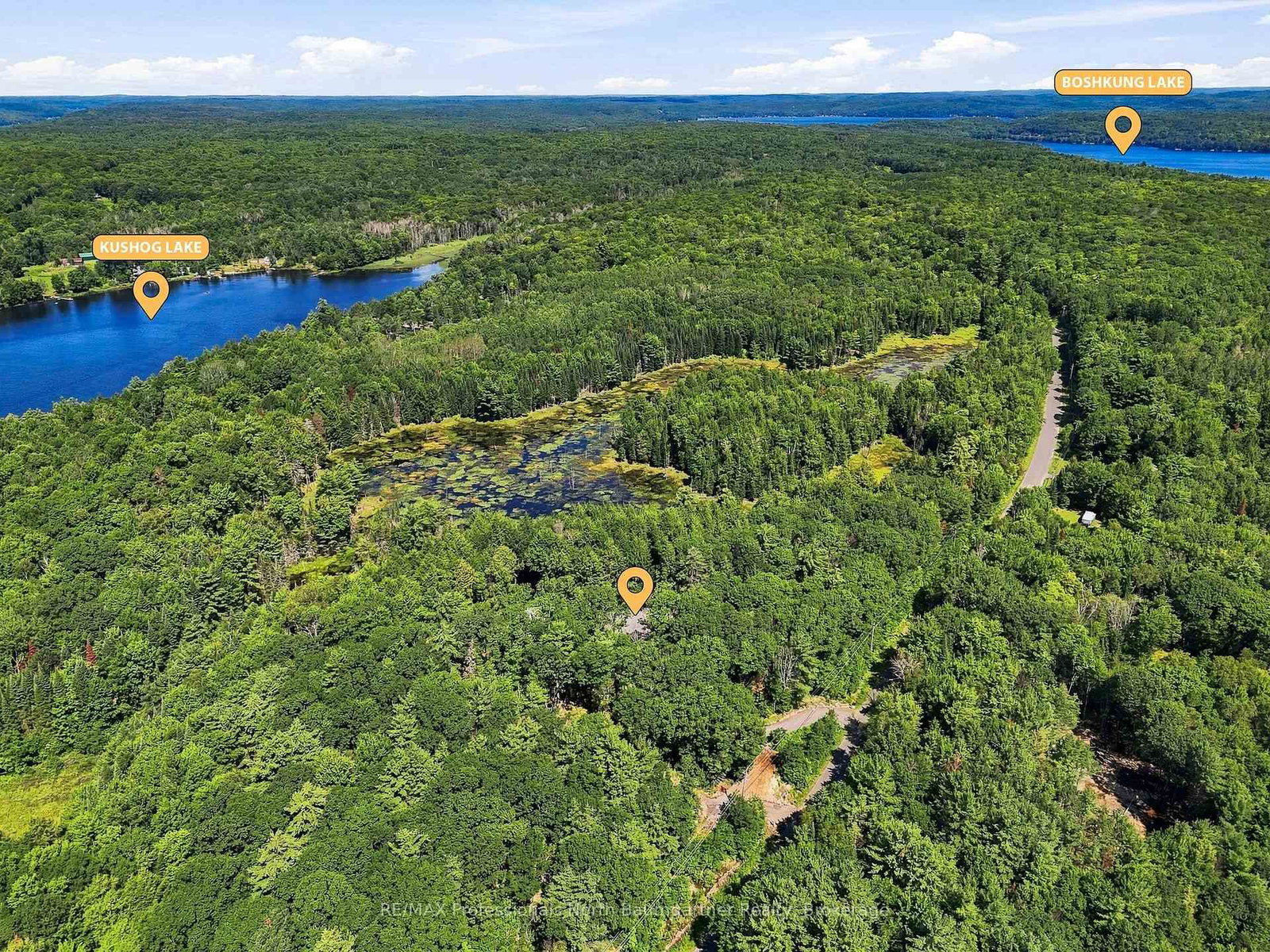 1433 Buckslide Road • Algonquin Highlands, ON photo 42