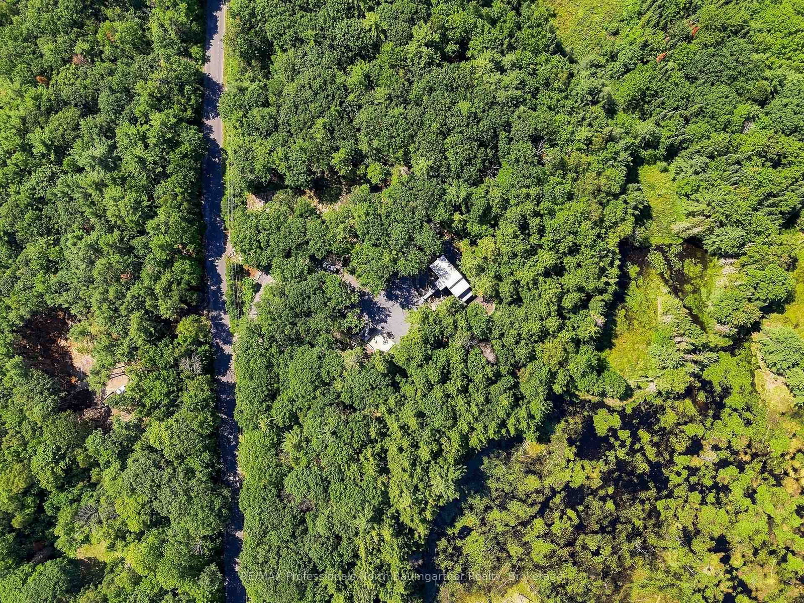 1433 Buckslide Road • Algonquin Highlands, ON photo 43