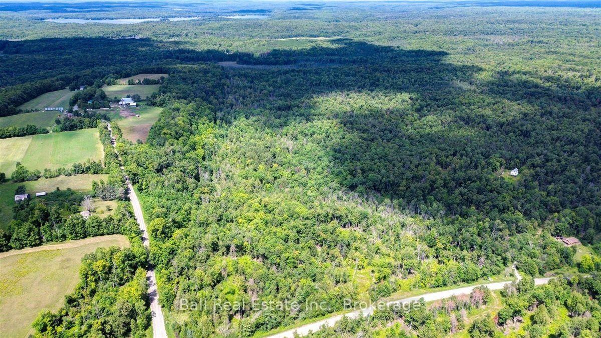 1607 The Ridge Road • Coe Hill, ON photo 37