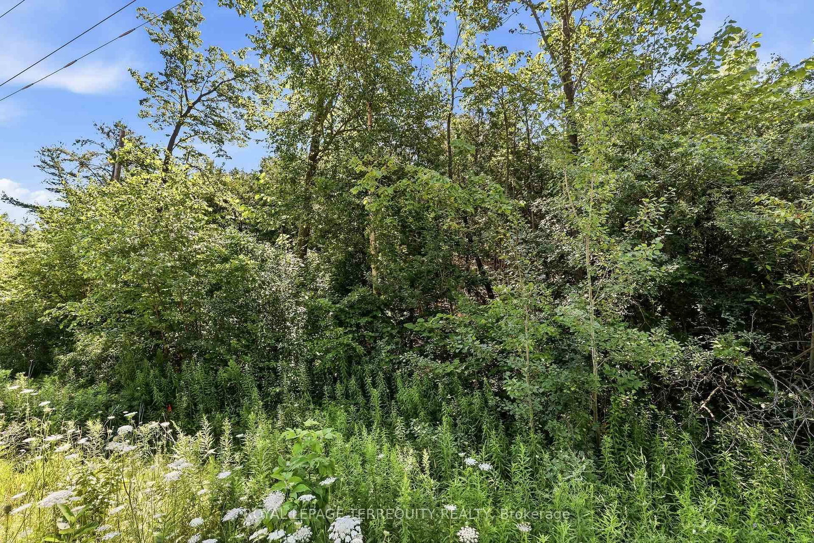 0 Purdy Road • Cramahe, ON photo 14